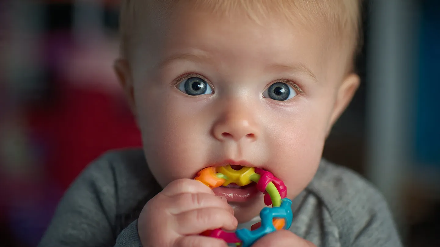 Bébé de 5 mois concentré en train d'attraper un anneau de dentition coloré