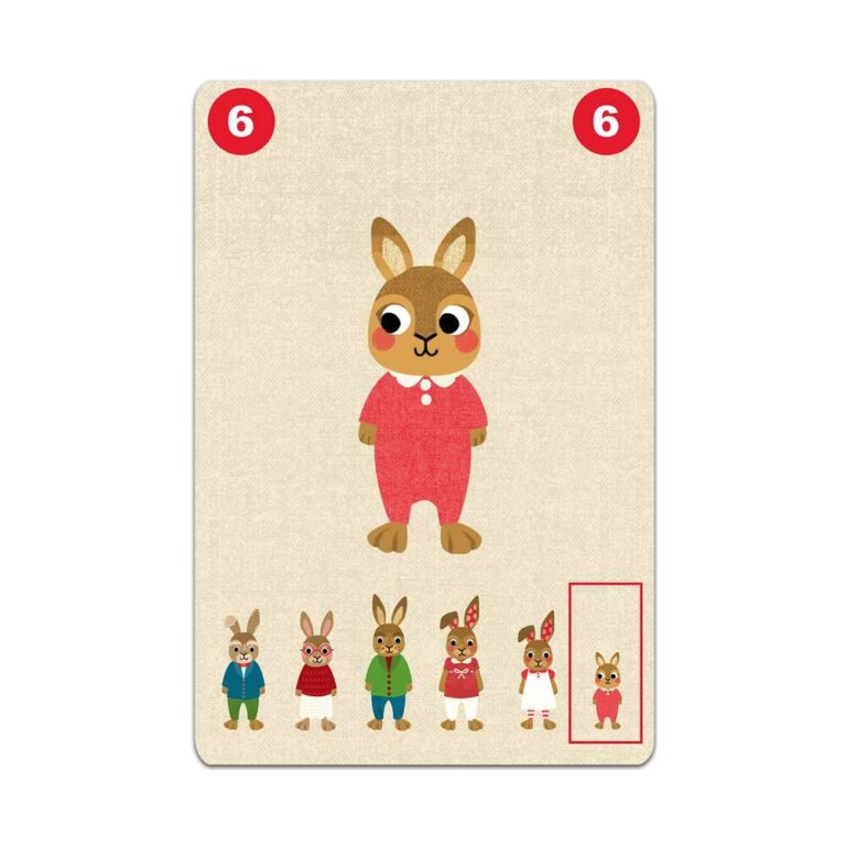 Jeu de cartes coopératif Familou Djeco