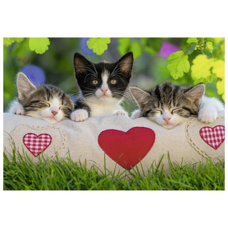 Puzzles 2 x 24 pièces Chatons au repos Ravensburger