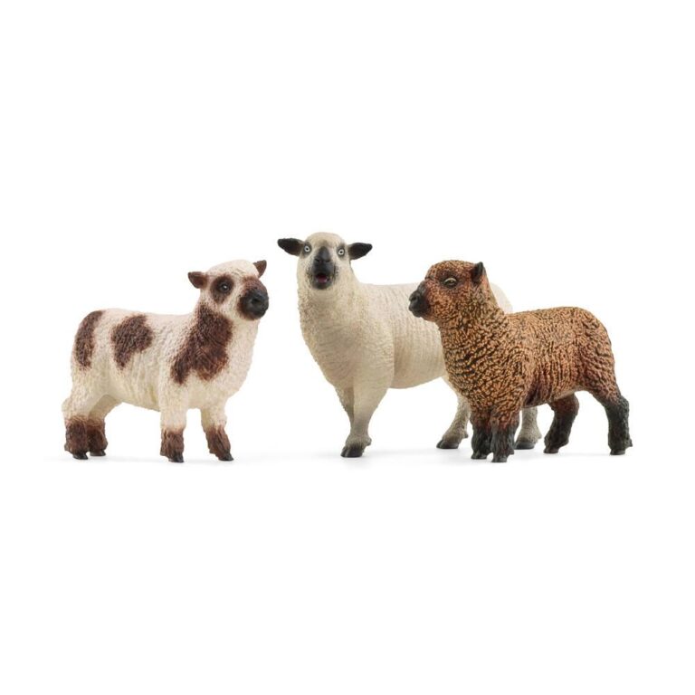 Trio de moutons Schleich