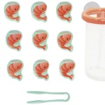 Attrape Crevettes du Bain Janod