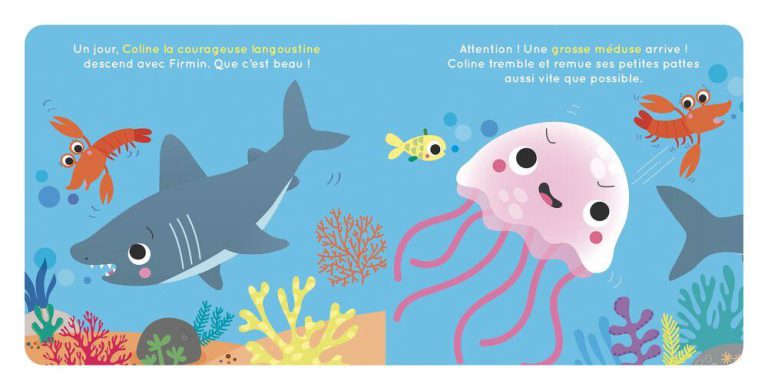 Firmin le Requin Coffret Livre et Jouet Auzou