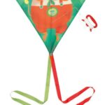 Cerf-volant enfant Janod Lion