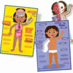 Jeu du corps humain Clementoni Montessori