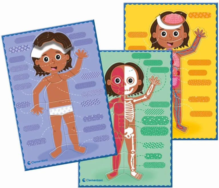 Jeu du corps humain Clementoni Montessori