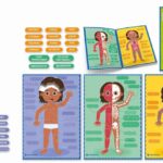 Jeu du corps humain Clementoni Montessori