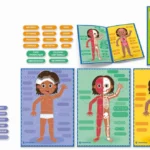 Jeu du corps humain Clementoni Montessori